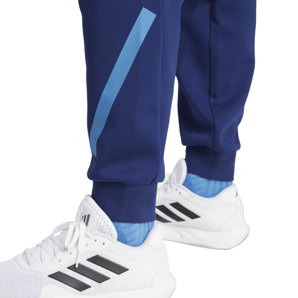 Pantaloni da viaggio Adidas France ZNE da uomo
