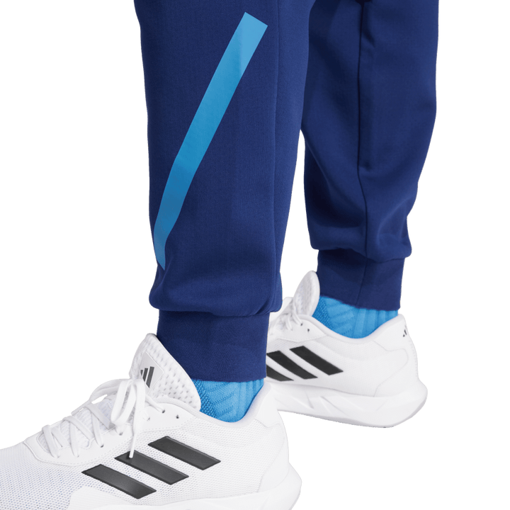 Pantaloni da viaggio Adidas France ZNE da uomo