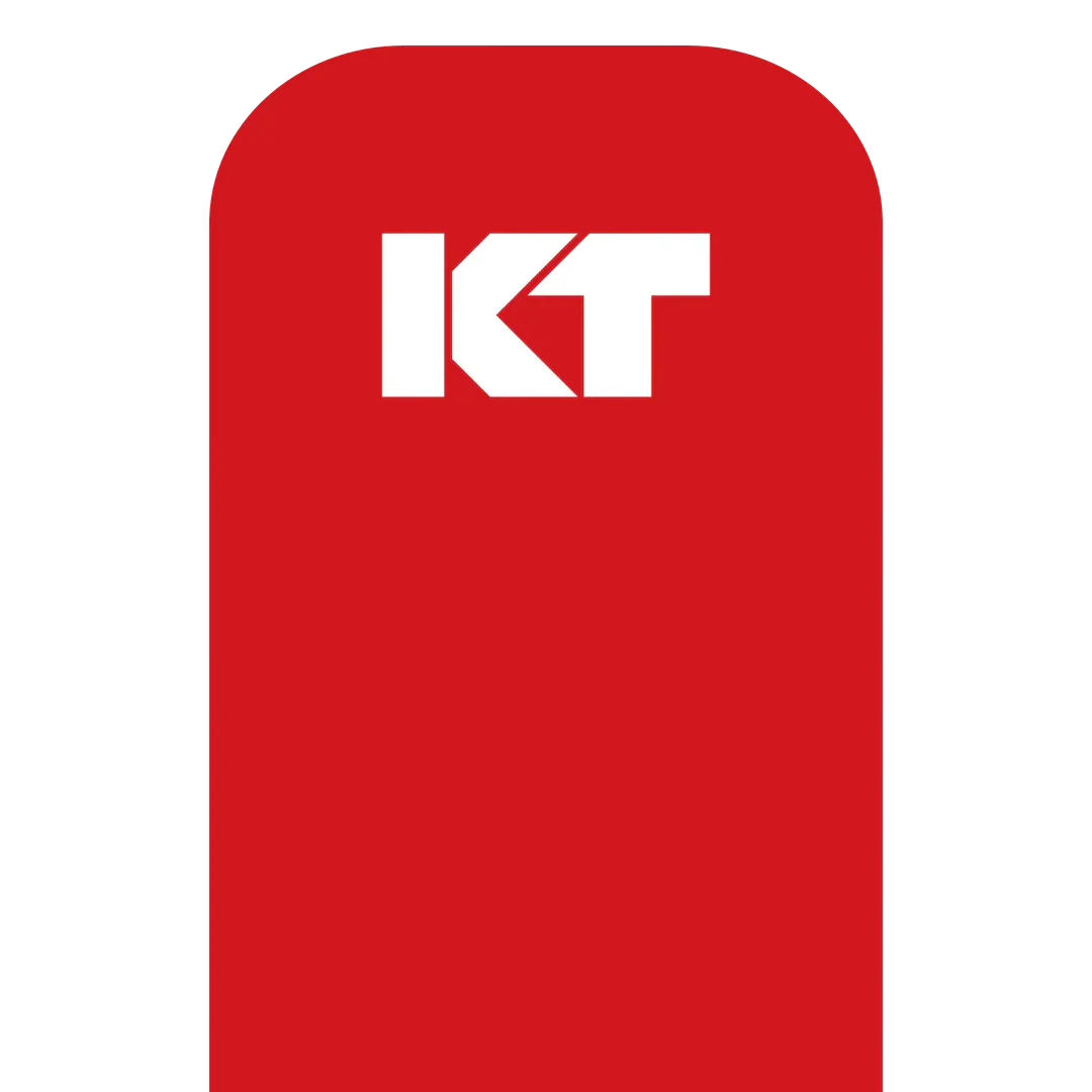 KT Tape Original Voorgesneden (5 x 25 cm) – 20 pièces – 5 mètres